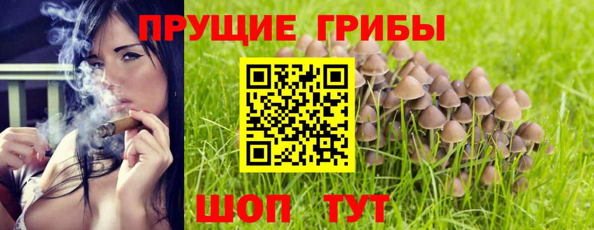 Псилоцибиновые грибы GOLDEN TEACHER  Вход с VPN  Изобильный 