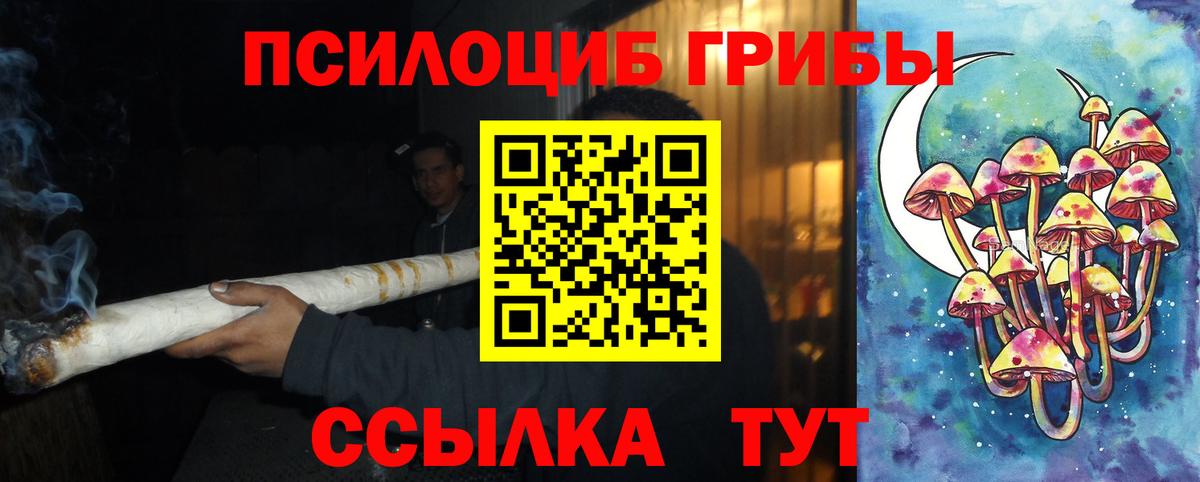 Галлюциногенные грибы прущие грибы Изобильный